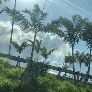 Meet your Posher, London